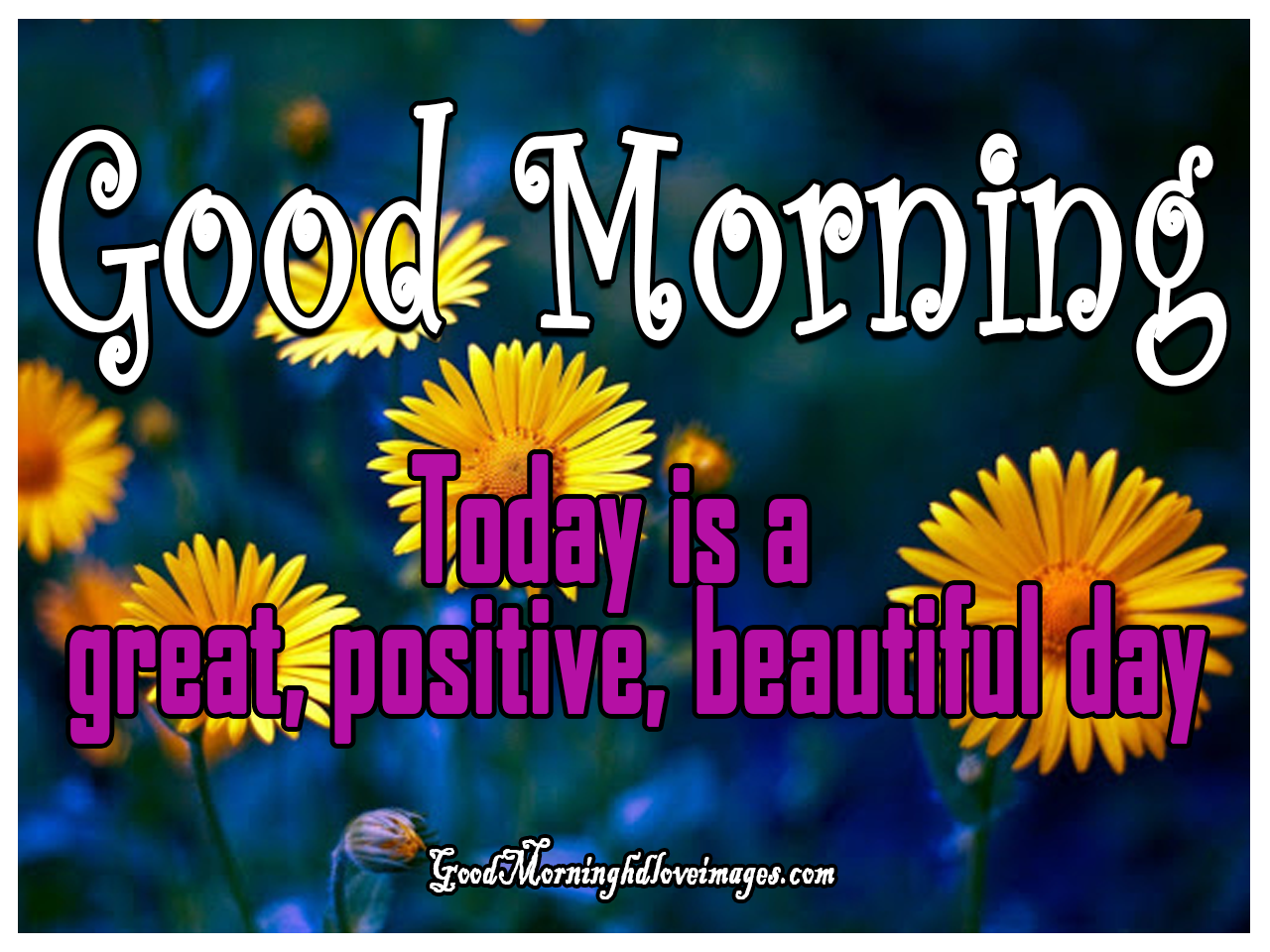 GD Mrng Wallpaper - Good Morning Wallpaper Free Download - Good Morning