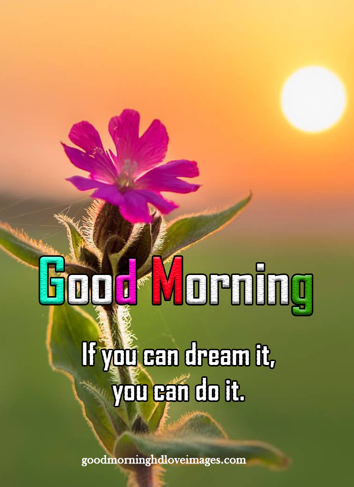 500+ Best Good Morning Photos Hd Download For Whatsapp - Good Morning
