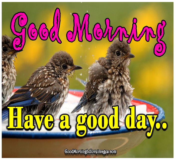 Good Morning Images With Birds And Flowers - Good Morning