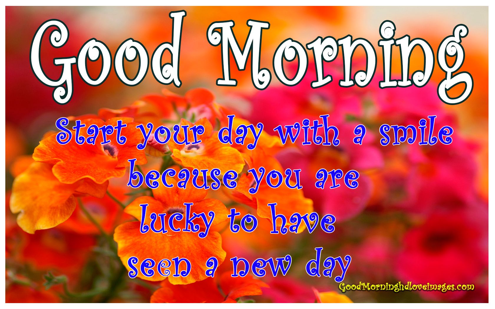 Lovely Good Morning Images HD 1080p Download - Good Morning
