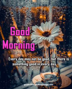 (Unique) special good morning images with quotes download for chrome browser