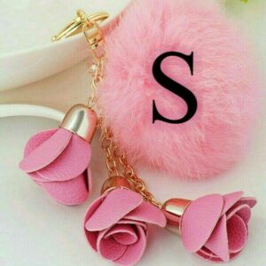 Beautiful Stylish S Letter Dp Free Download | Heart Stylish S Letter Dp