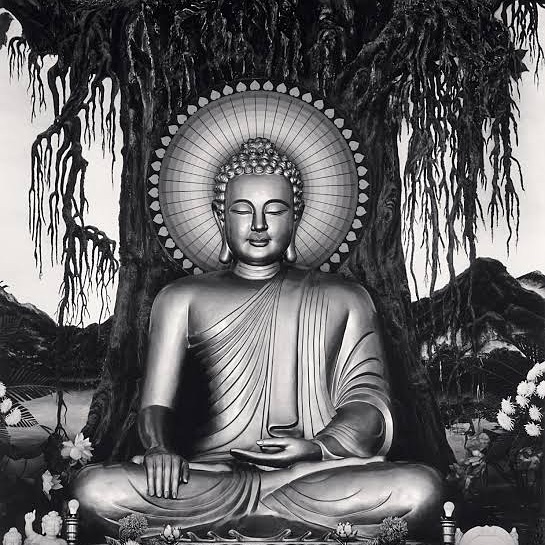 Meditating Gautam Buddha Images | Gautam Buddha Photo Wallpaper - Good  Morning