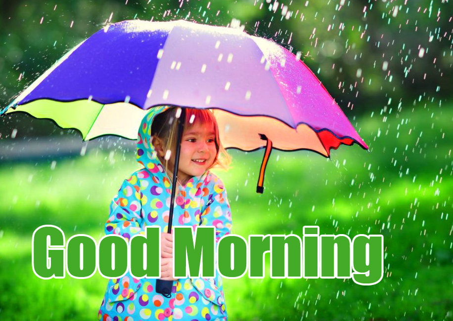 A Rainy Good Morning Images
