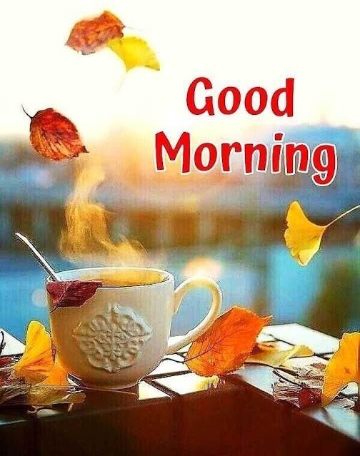 Beautiful Goodmorning Images For Whatsapp Dp