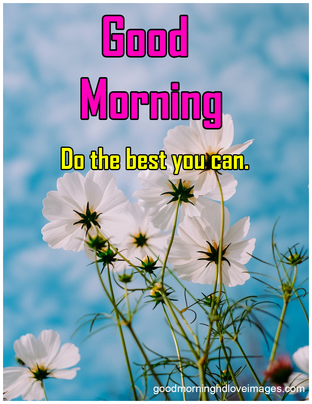 1000+ Fresh Good Morning Images Wallpaper & Pretty Good Morning Photo - Good  Morning