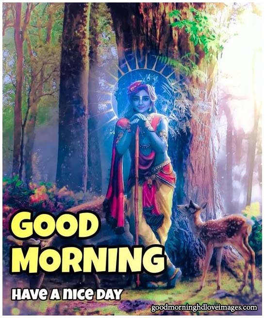 God Krishna Images With Good Morning Have A Nice Day